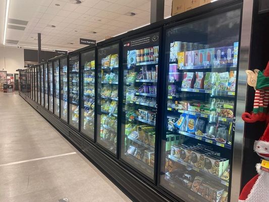 Basse température 3 de congélateur en verre droit d'un seul bloc de porte 4 5 6 portes