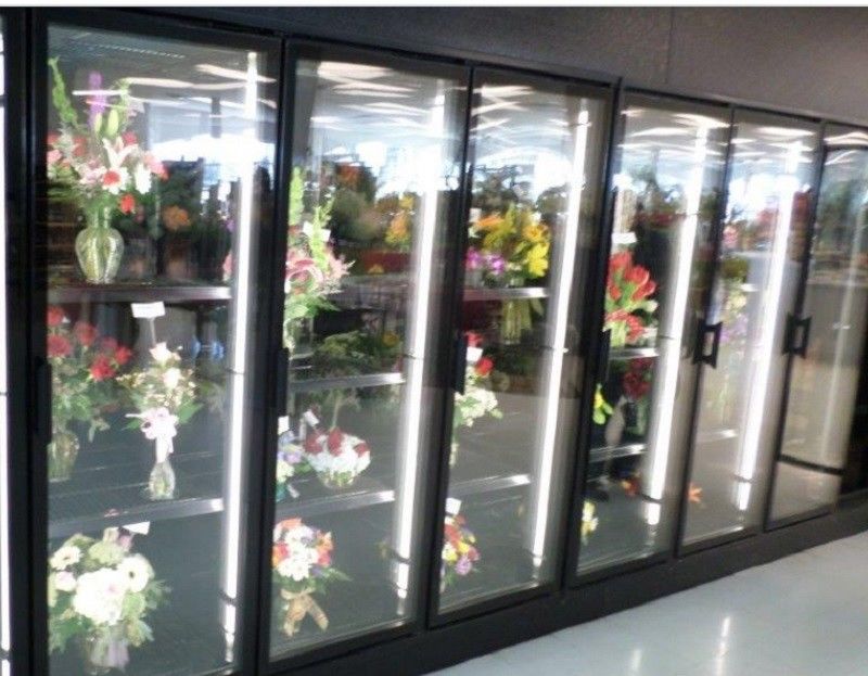 La promenade d'affichage floral dans les refroidisseurs marchent en acier coloré par refroidisseur en verre de porte