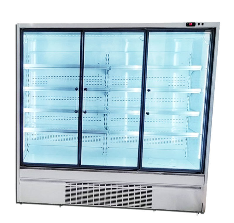 Porte en verre droite 220V/50HZ du refroidisseur 2/3/4 de porte du supermarché R290