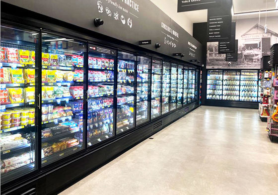 3/4/5/6 d'un seul bloc de portes de porte de supermarché de congélateur de refroidisseur en verre en verre droit de porte